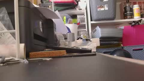 Snapshot of hardonjohnny68 chatting on 1, 11, 2025 Hardonjohnny68 online show from 1, 11, 2025