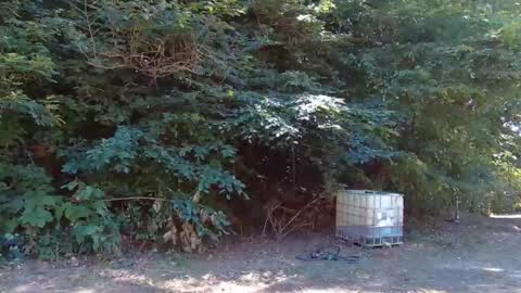 hardworkertn online show from 23, 9, 2025