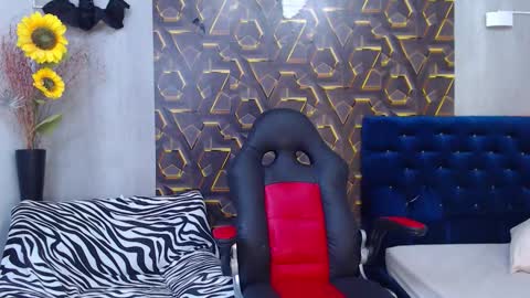 Harry online show from 8, 11, 2025