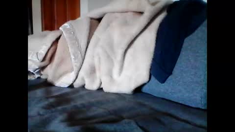 Snapshot of havier282874 chatting on 9, 6, 2026 havier282874 online show from 9, 6, 2026