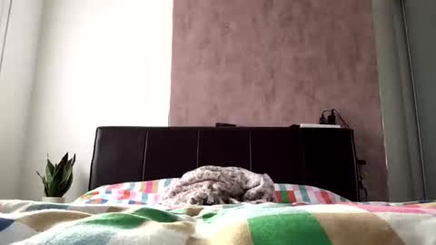 Snapshot of hayle_emmie chatting on 22, 10, 2025 Hayle online show from 22, 10, 2025