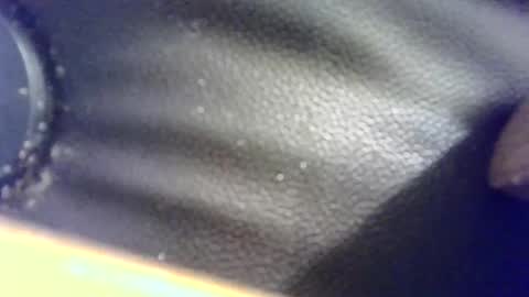 Snapshot of hellobunbunx0 chatting on 24, 12, 2024 hellobunbunx0 online show from 24, 12, 2024