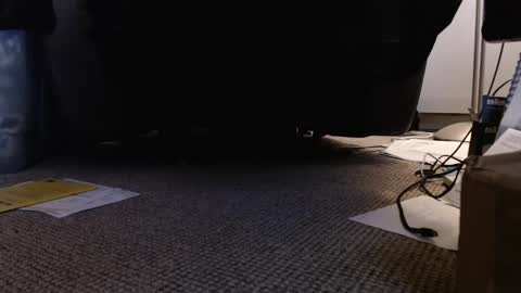 Snapshot of henryjxxx chatting on 12, 1, 2025 henryjxxx online show from 12, 1, 2025