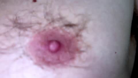 Snapshot of hey_arnold chatting on 7, 12, 2024 Arnold online show from 7, 12, 2024