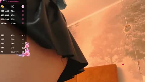 Snapshot of hiaru_cutie chatting on 11, 12, 2024 Hiaru online show from 11, 12, 2024