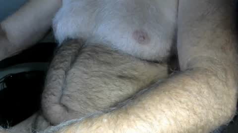 higgins11 online show from 9, 10, 2025