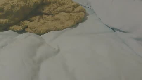 highanhorny72 online show from 16, 1, 2026