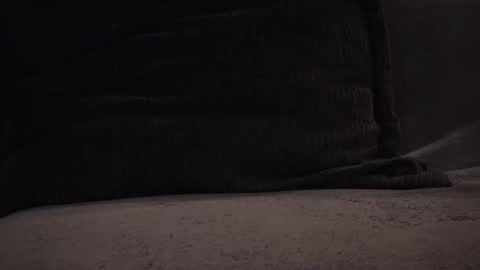 Snapshot of hikinks chatting on 12, 11, 2025 hikinxxx online show from 12, 11, 2025