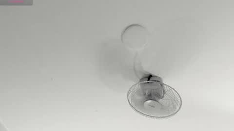 hilary_tailor online show from 9, 1, 2026