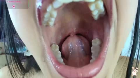 hinata online show from 20, 2, 2026