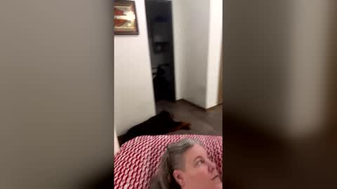 hippysnewhere online show from 23, 4, 2026