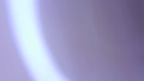 hofnung online show from 1, 4, 2026