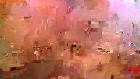 midwestchamp online show from 25, 4, 2026