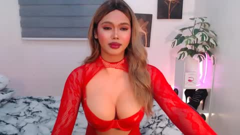 hollywoodstareme online show from 3, 8, 2026