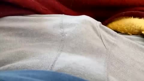 holycannoli123 online show from 5, 2, 2026