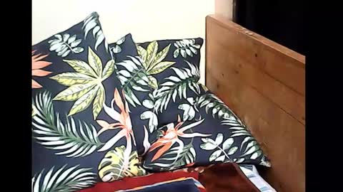 Snapshot of holygurl77 chatting on 14, 10, 2025 cristy online show from 14, 10, 2025