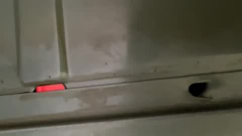 hondodeasy online show from 25, 2, 2026