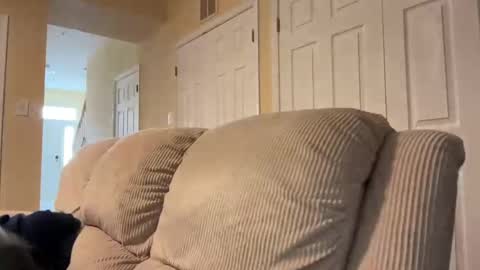 Snapshot of honey_man14 chatting on 17, 2, 2025 honey_man14 online show from 17, 2, 2025