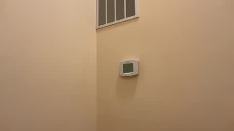 Snapshot of honey_man14 chatting on 19, 2, 2025 honey_man14 online show from 19, 2, 2025