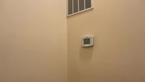 Snapshot of honey_man14 chatting on 12, 2, 2026 honey_man14 online show from 12, 2, 2026