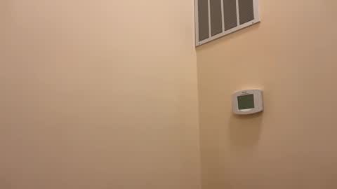 Snapshot of honey_man14 chatting on 26, 2, 2026 honey_man14 online show from 26, 2, 2026