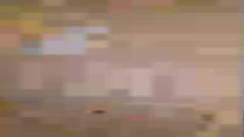 honeybear2026 online show from 7, 7, 2026