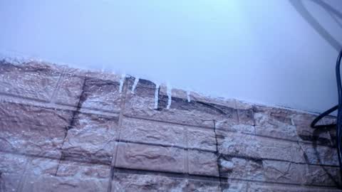 Victoria online show from 4, 4, 2026