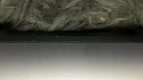 D online show from 23, 2, 2026