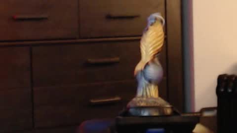 ItsReeleMe online show from 8, 2, 2026