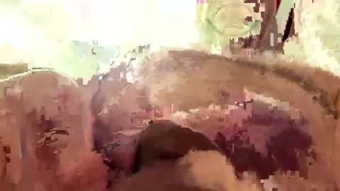 hornieecum online show from 2, 3, 2026