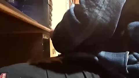 Dominick Subversal online show from 1, 11, 2025