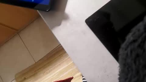 Jan online show from 26, 10, 2025