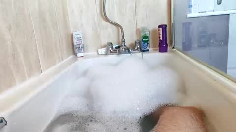 Snapshot of hornybiker1987 chatting on 25, 11, 2025 hornybiker1987 online show from 25, 11, 2025