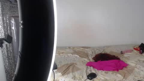 hornygal256 online show from 2, 11, 2025