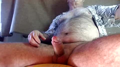 Snapshot of hornyswissman chatting on 27, 2, 2025 hornyswissman online show from 27, 2, 2025