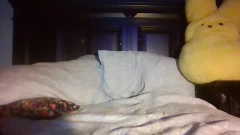 Snapshot of hot_ass_mess chatting on 15, 12, 2024 anytime-angel online show from 15, 12, 2024