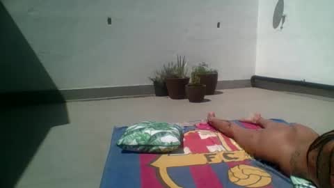 Hardcock20cm online show from 5, 10, 2025