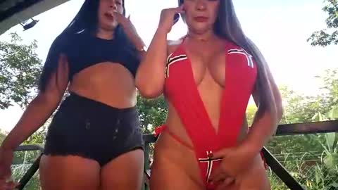 kittens online show from 11, 7, 2026