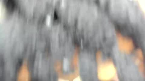 hot_moxie online show from 15, 11, 2025