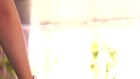 Anais online show from 25, 10, 2025