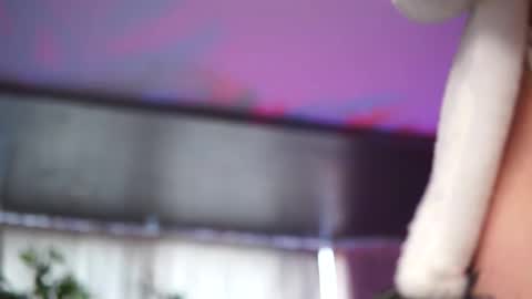 Snapshot of hotbustybabex chatting on 19, 1, 2026 Anais online show from 19, 1, 2026