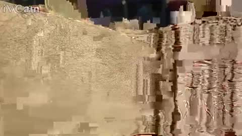 Hotcapolx online show from 17, 11, 2025