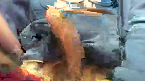 hotdick4200 online show from 19, 11, 2025