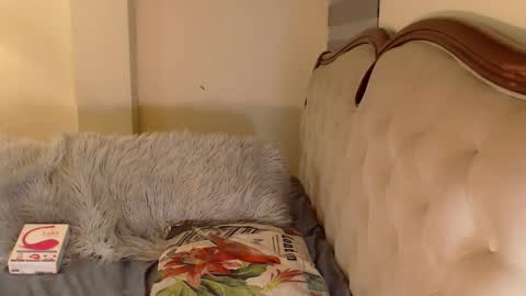 Miss ELY online show from 29, 10, 2025