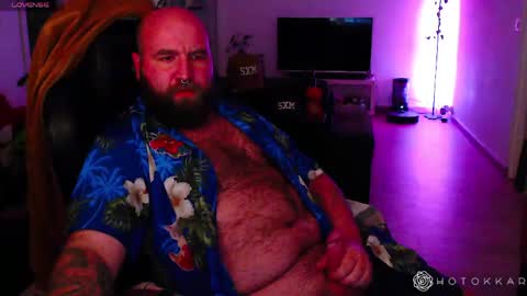 Hotokkar online show from 25, 4, 2026