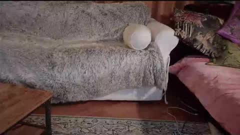 Snapshot of hotpeppersx chatting on 31, 10, 2025 Betty boob online show from 31, 10, 2025