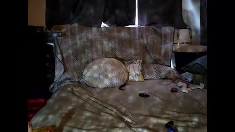 Snapshot of hotrox6942 chatting on 24, 9, 2025 hotrox6942 online show from 24, 9, 2025