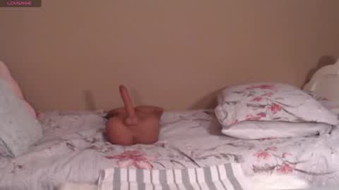 dawn online show from 19, 4, 2026