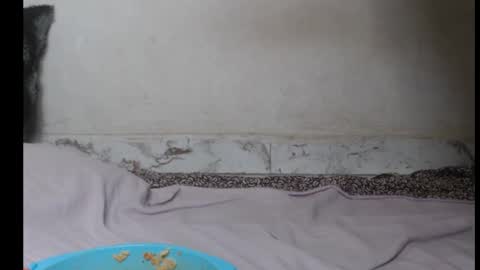 Snapshot of hottylissa1 chatting on 26, 9, 2025 hottylissa1 online show from 26, 9, 2025