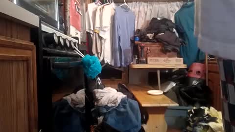 Snapshot of houndmefromhell chatting on 2, 12, 2024 houndmefromhell online show from 2, 12, 2024